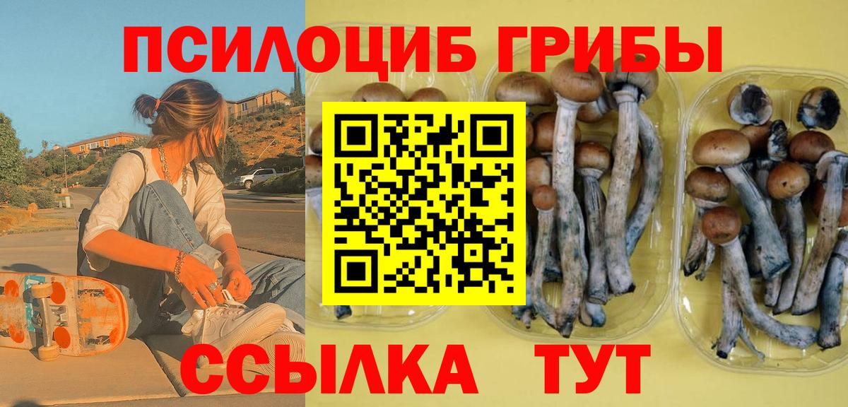 Галлюциногенные грибы Psilocybe  Вход с VPN  Стрежевой 